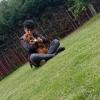 Anthony Salaverry Huarte avatar
