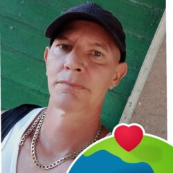 Pedro Alberto avatar