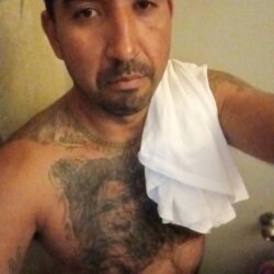 Pedro Perez avatar
