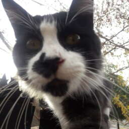 9db755943bcab25468fcb031c422c3c0.jpg